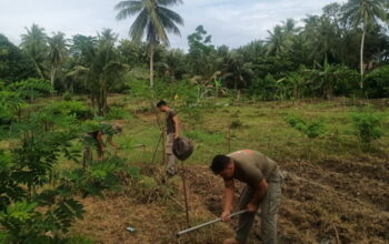 Satgas Madago Raya Tingkatkan Dukungan Pangan melalui Pertanian dan Peternakan di Poso