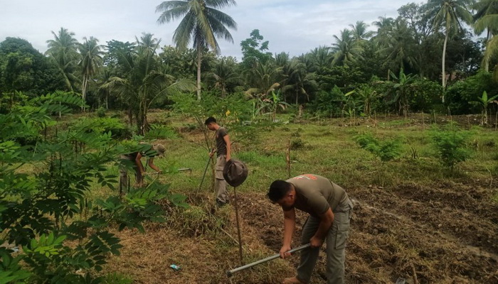 Satgas Madago Raya Tingkatkan Dukungan Pangan melalui Pertanian dan Peternakan di Poso