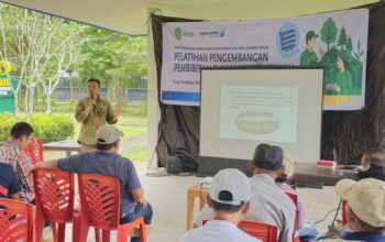 Dari Bibit Tumbuh Harapan: DSLNG Berkomitmen Pulihkan Hutan Sulteng