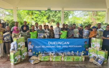 Dukung Ketahanan Pangan, DSLNG Gelar Pelatihan Jagung dan Keselamatan Kerja Petani