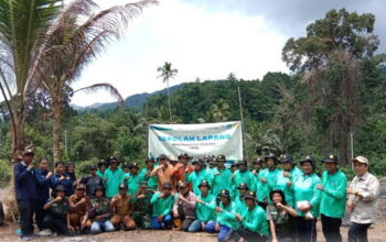 Mahasiswa UNTIKA Bantu Petani Liang Kembangkan Pertanian Padi Gogo Ramah Lingkungan